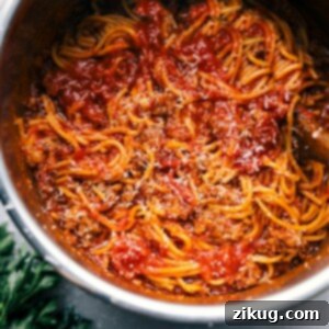 Easy Instant Pot Spaghetti 2 A serving of Instant Pot Spaghetti in a bowl, garnished with Parmesan and parsley, ready to eat.