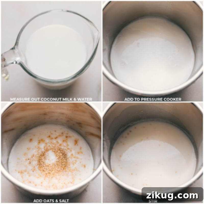 The best Instant Pot Oatmeal blends creamy coconut milk with hearty steel-cut oats, sweetened just right with brown sugar, vanilla, and a hint of cinnamon. This cozy bowl is not only quick to make but also super filling and brimming with wholesome ingredients. Recipe via chelseasmessyapron #breakfast #best #quick #easy #simple #brunch #onepot #instantpot #oatmeal Process shots of Instant Pot Oatmeal-- images of the coconut milk, water, oats, and salt all being added to the instant pot
