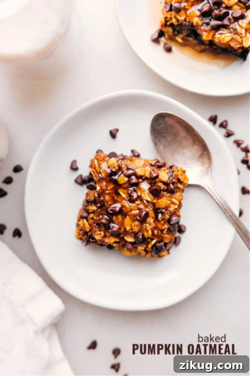 Pumpkin Baked Oatmeal: The ultimate fall breakfast blending rich pumpkin, fragrant spices, sweet maple syrup, and chocolate for an effortless morning treat. Recipe via chelseasmessyapron #breakfast #quick #easy #simple #treat #chocolatechips #baked #pumpkin #oatmeal Overhead image of a freshly baked pumpkin oatmeal slice, showcasing its golden-brown top and moist interior.