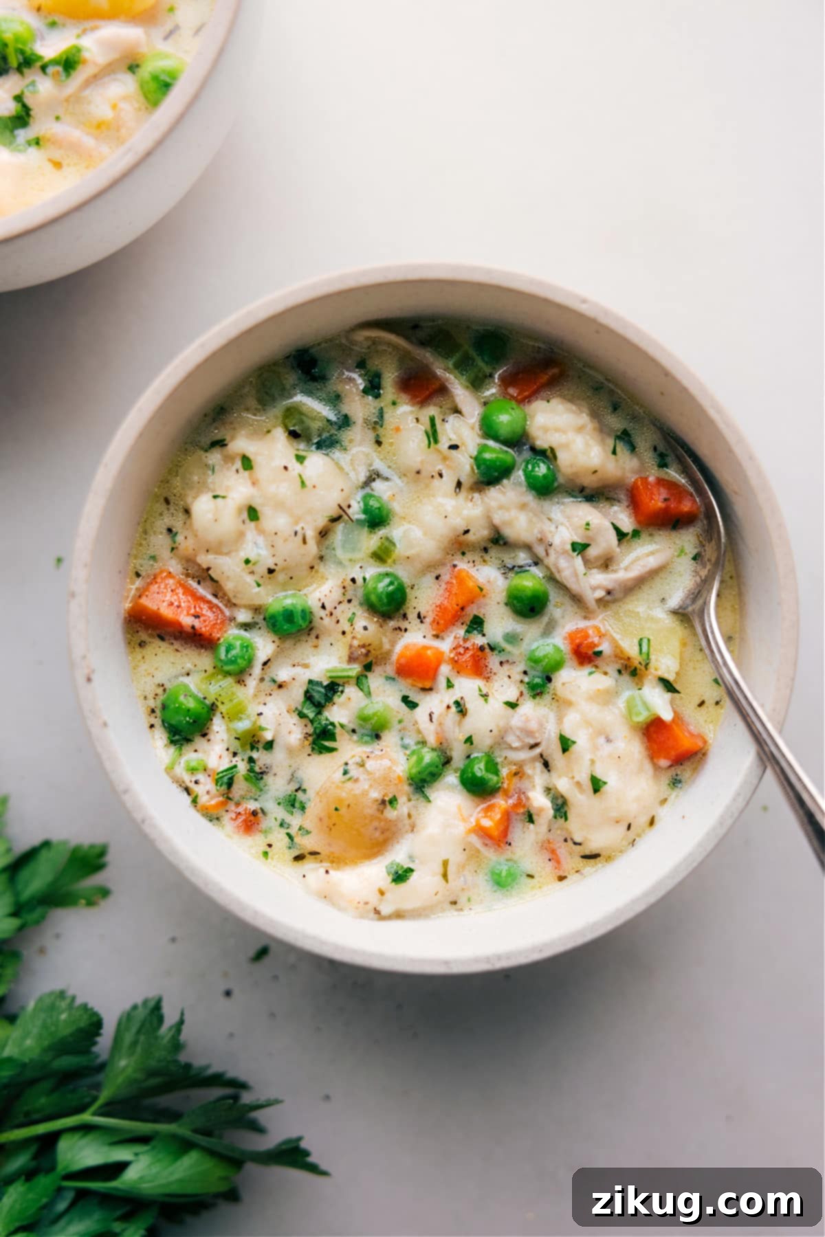 Shot of a bowl filled with Chicken and Dumplings from an Instant Pot, ready to eat, garnished with fresh herbs.