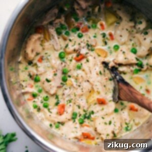 Instant Pot Chicken and Dumplings