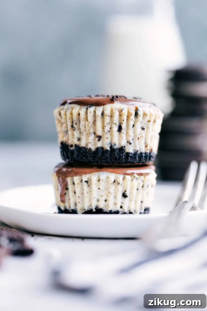 Oreo Cheesecake Bites 4 Two perfectly baked Mini Oreo Cheesecakes, topped with glossy chocolate ganache, stacked neatly for serving.