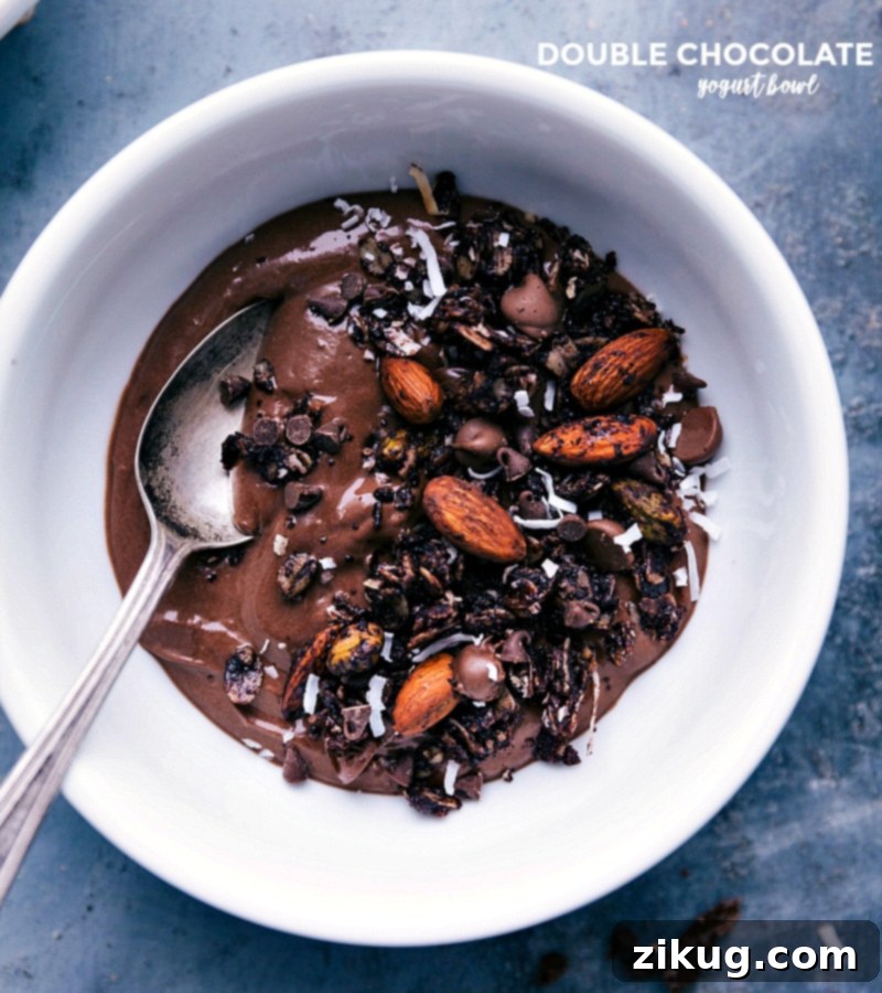 Double chocolate variation topped with fresh granola, a mouthwatering dessert, highlighting rich cocoa yogurt with chocolate chips.