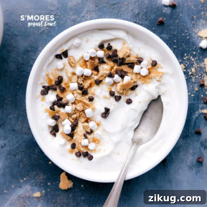 S'mores variation adorned with crumbled graham crackers, mini marshmallows, and mini chocolate chips, ready to indulge. A nostalgic treat in a bowl.