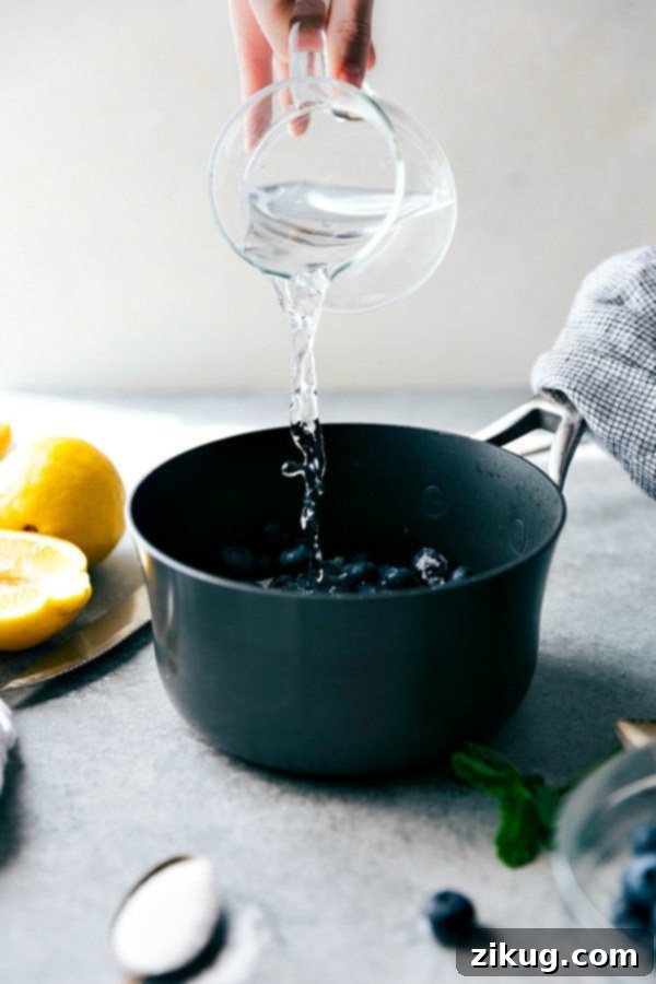 A close-up of a hand pouring sparkling water into a pitcher of blueberry lemonade, emphasizing the fizz and the final step of preparation. The pitcher is filled with a vibrant blue liquid, ice, and garnishes, ready to be served and enjoyed.