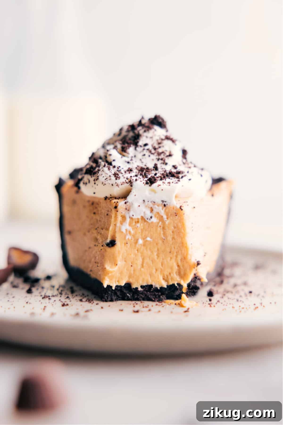 A perfectly sliced piece of creamy Peanut Butter Pie with a bite taken out, showcasing the rich filling and dark Oreo crust.