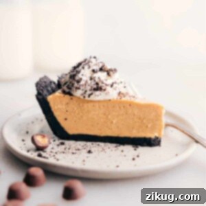 A beautifully presented slice of peanut butter pie, garnished with whipped cream and mini Reese's cups, ready to be enjoyed.