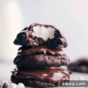 A perfectly baked Chocolate Marshmallow Cookie with a smooth chocolate top.