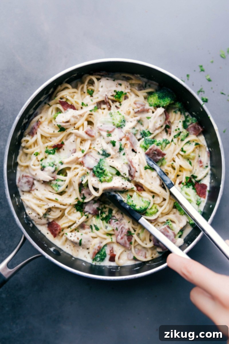 Creamy Chicken Broccoli Alfredo - A Delicious Bite Chicken broccoli alfredo with tongs scooping up a creamy and delicious bite, ready to be enjoyed.
