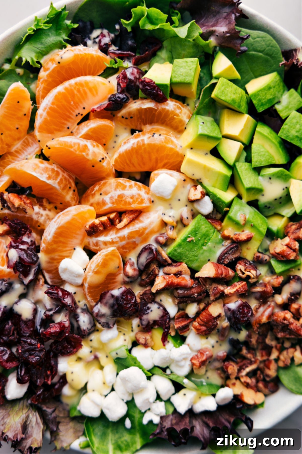 Life Changing Lemon Poppy Seed Dressing A beautifully dressed salad with lemon poppy seed dressing, ready to be enjoyed, showcasing fresh ingredients.