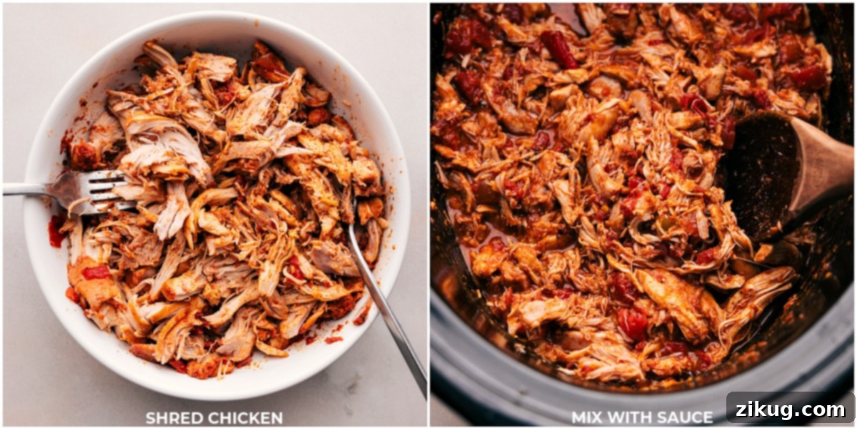 Tender chicken being shredded with two forks and added back into the slow cooker to absorb more sauce.