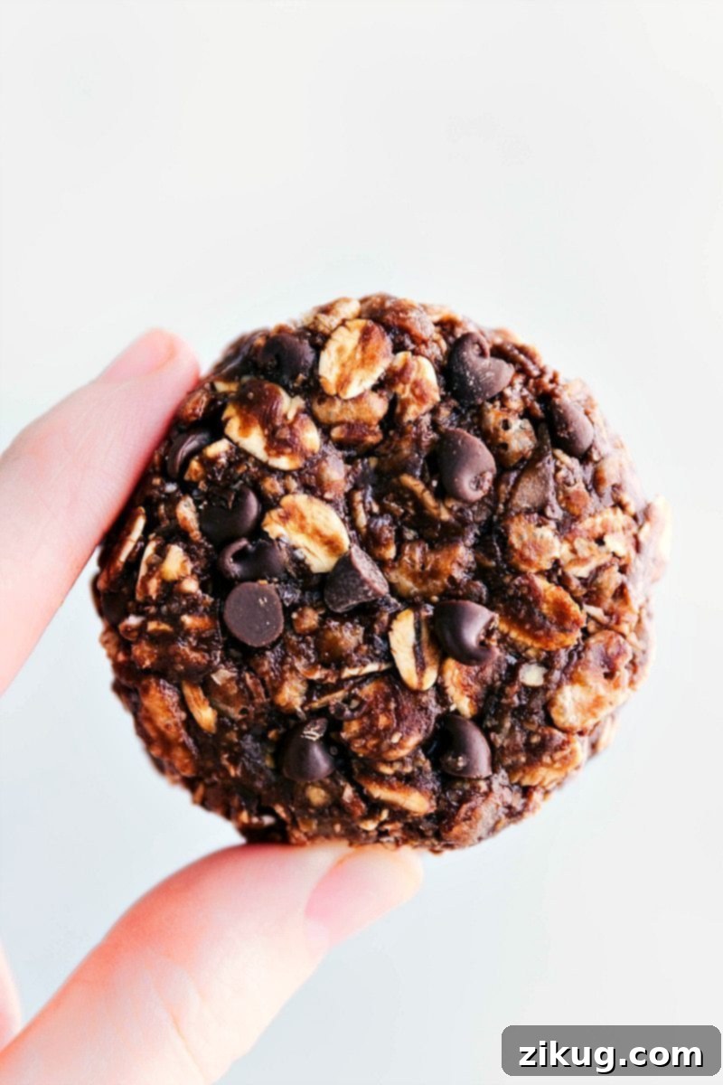 The best ever Chocolate-Peanut Butter Breakfast Cookies are loaded with delicious and satiating ingredients! No baking required and great for on-the-go mornings! Recipe via ChelseasMessyApron Close-up of a hand holding a finished Chocolate-Peanut Butter Breakfast Cookie, showcasing its texture and size