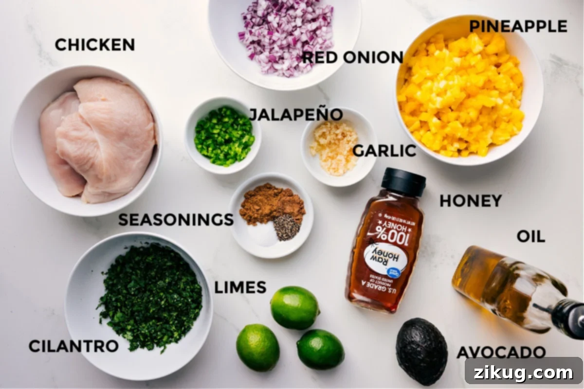 Essential Ingredients for Pineapple Chicken and Rice A colorful array of fresh ingredients for Pineapple Chicken: raw chicken, vibrant red onion, ripe pineapple chunks, sliced jalapeño, minced garlic, golden honey, olive oil, creamy avocado, zesty limes, various seasonings, and fresh cilantro sprigs.