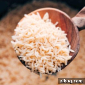 Spoonful of freshly cooked Bone Broth Rice, highlighting its inviting texture and warmth.