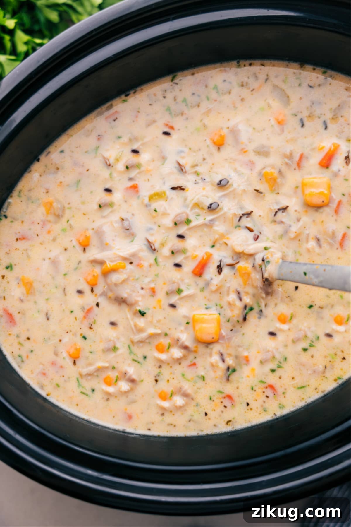 Dump And Go Crockpot Chicken Wild Rice Soup A large pot of Crockpot Chicken Wild Rice Soup, ready to be served, showcasing its creamy texture and hearty ingredients.