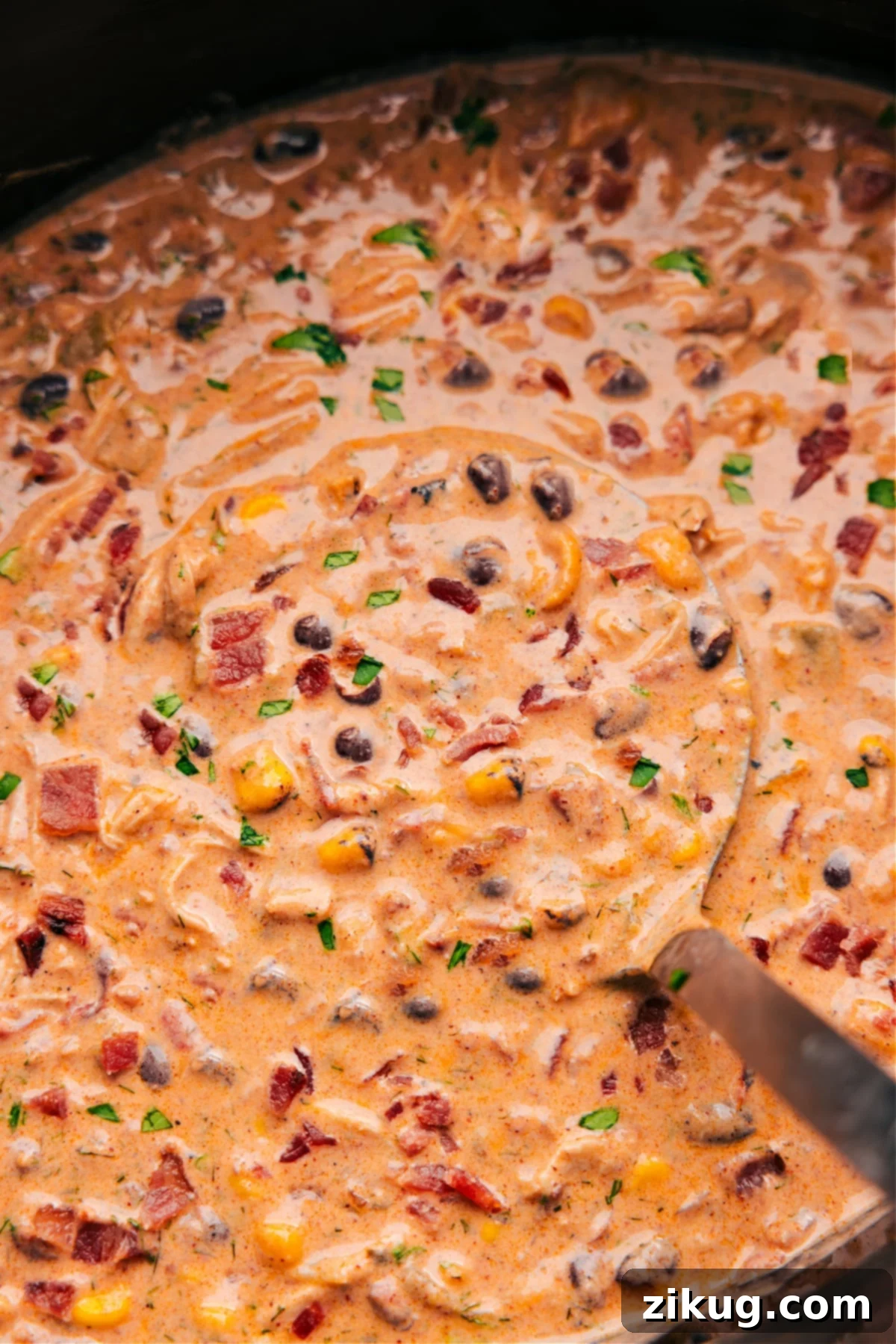 The Best Creamy Crockpot Chicken Chili Crack Chicken Chili with a ladle picking some up, showing the creamy texture.