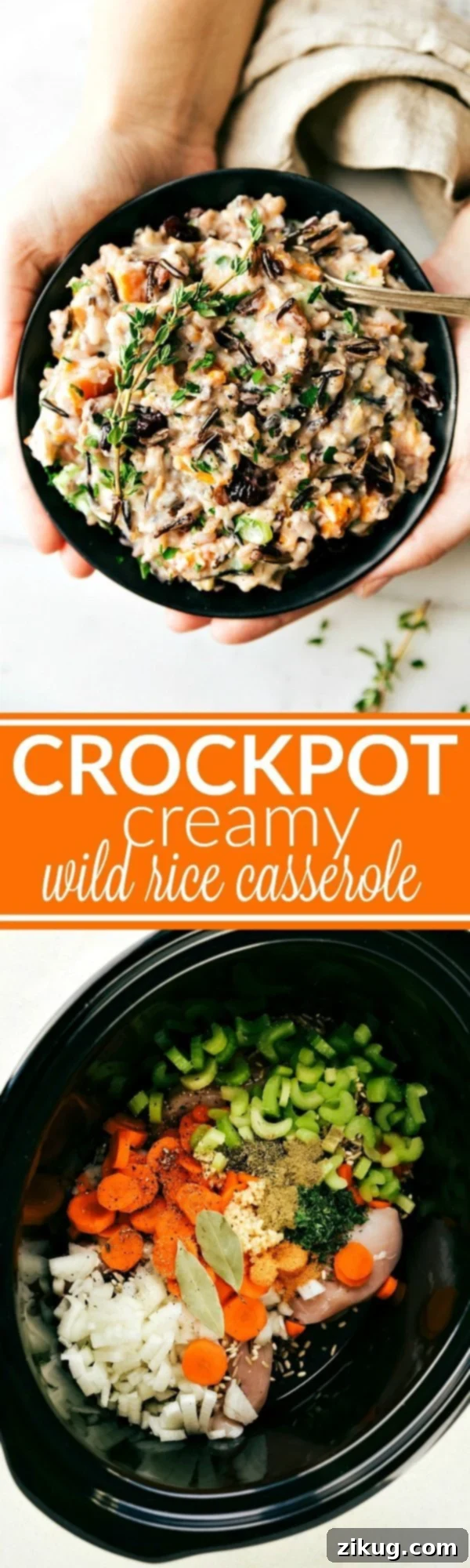 Cozy Creamy Chicken and Wild Rice Slow Cooker Meal 2 Crockpot WILD RICE CASSEROLE -- easy, delicious, and made simple using the slow cooker. Hearty, healthy meal the whole family will love. Recipe via chelseasmessyapron.com