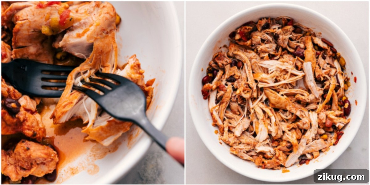The perfectly cooked chicken meat being effortlessly shredded with two forks, ready to be added back to the rich, creamy slow cooker chili.