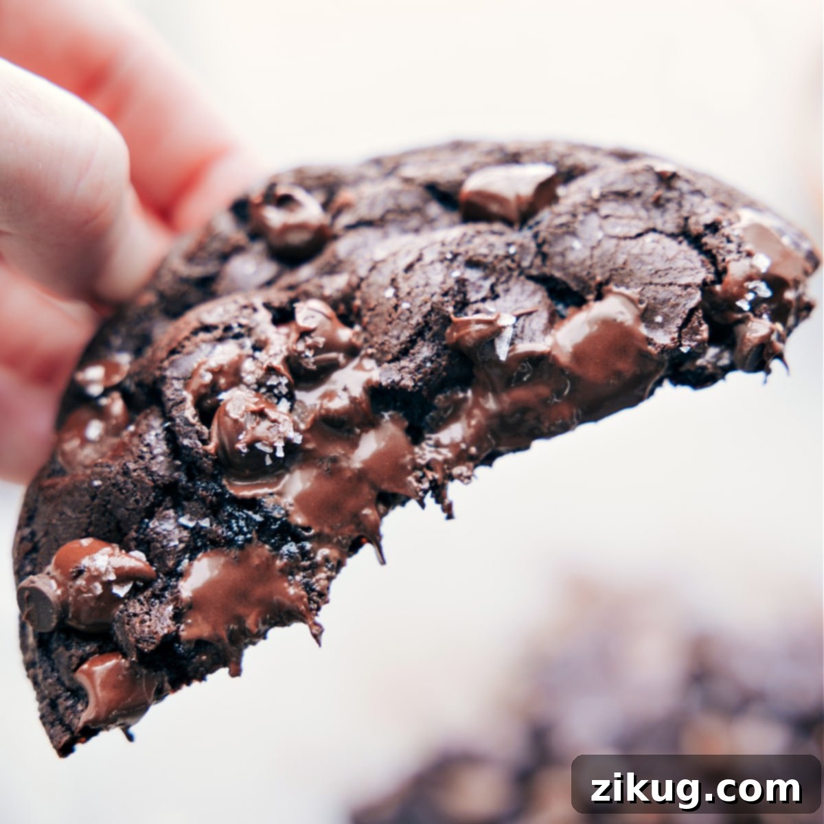 Decadent Double Chocolate Single Serve Cookies Half of a Single Serve Double Chocolate Cookie is held up, showcasing its incredibly gooey, rich chocolate center and tender texture, promising pure indulgence.