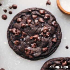 A single serve double chocolate cookie is photographed from above, showing its perfectly baked texture and a sprinkle of sea salt on top, inviting you to take a bite.