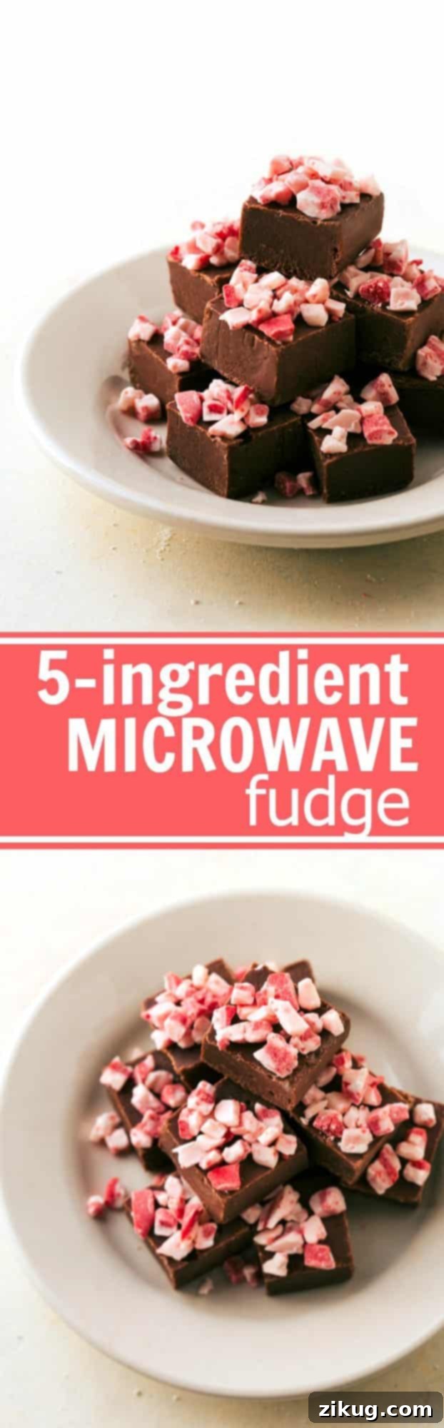 Merry & Minimal: 4 5-Ingredient Christmas Treats 3 FOOLPROOF MICROWAVE FUDGE! Four different easy, quick, and foolproof Christmas treats that the kids can help with! Perfect for gift-giving and enjoying with the family. Peppermint bark cookies, toffee cashew clusters, microwave fudge, and rudolph bites! Recipes via chelseasmessyapron.com