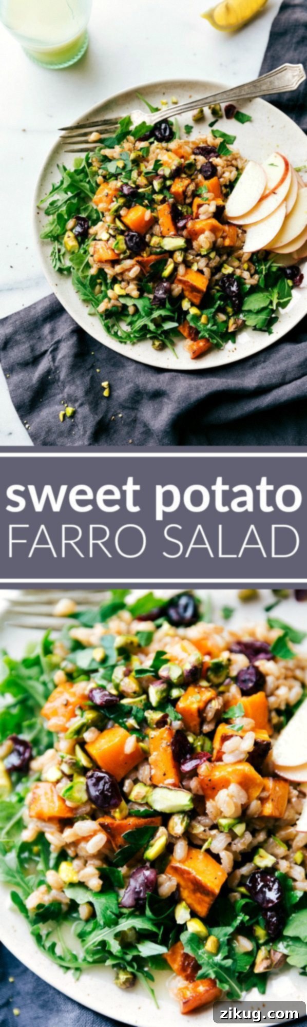 ROASTED SWEET POTATO SALAD. A hearty, healthy, and filling salad with sweet apple cider farro, roasted sweet potatoes, arugula, and an easy blender lemon dressing.