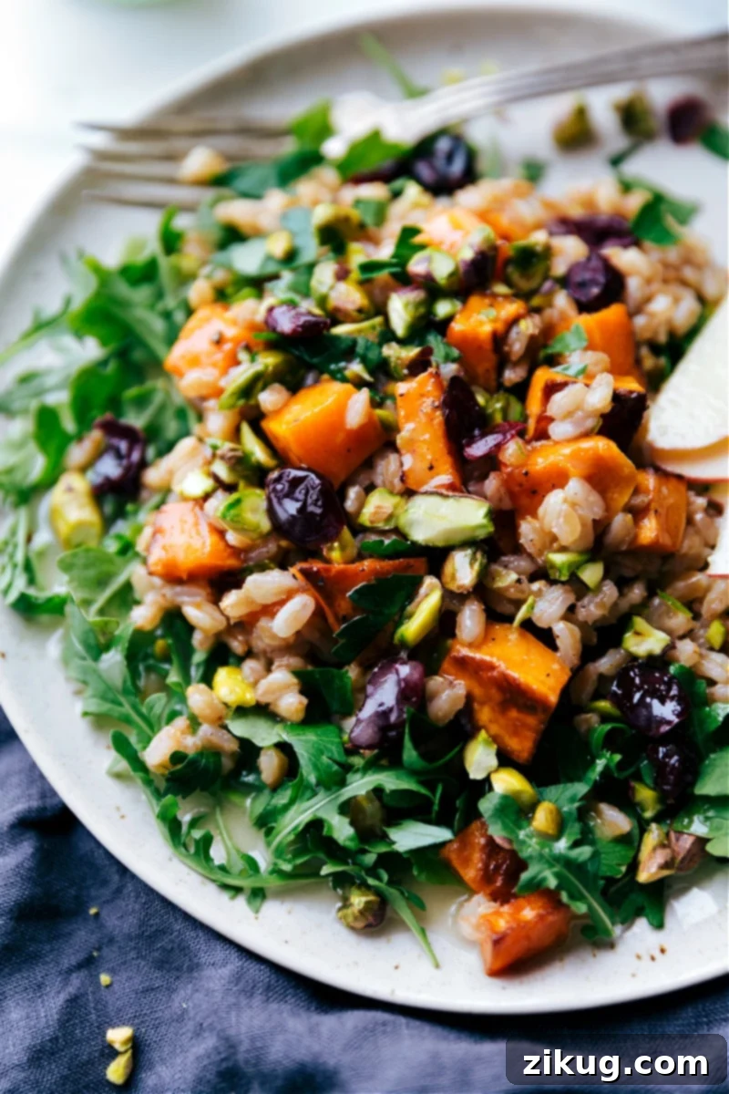 Sweet Potato Farro Salad: A healthy, vibrant, and incredibly flavorful dish, perfect for any meal. Overhead image of a vibrant Sweet Potato Farro Salad, featuring golden roasted sweet potatoes, ruby red cranberries, green arugula, and chopped pistachios, drizzled with a lemon dressing. This visually appealing salad is perfect for healthy eating and holiday side dishes.
