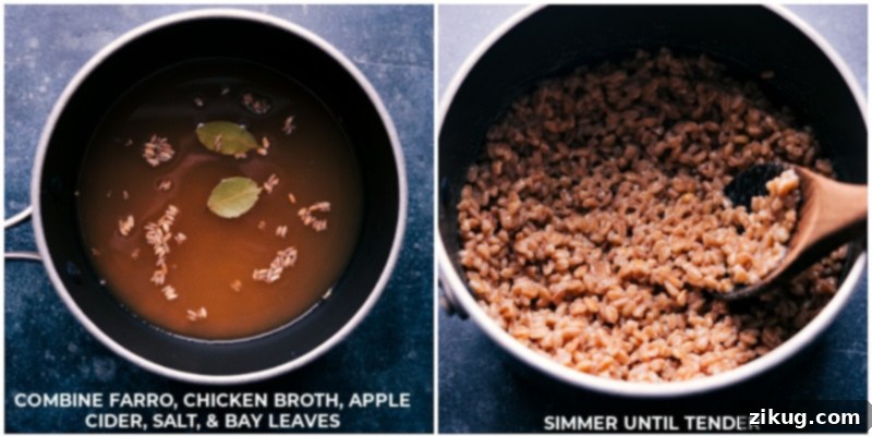 Simmering farro in apple cider and chicken broth for maximum flavor absorption. Process shots: Ingredients for farro cooking, including raw farro, apple cider, chicken broth, and bay leaves, simmering gently in a pot until tender and flavorful.