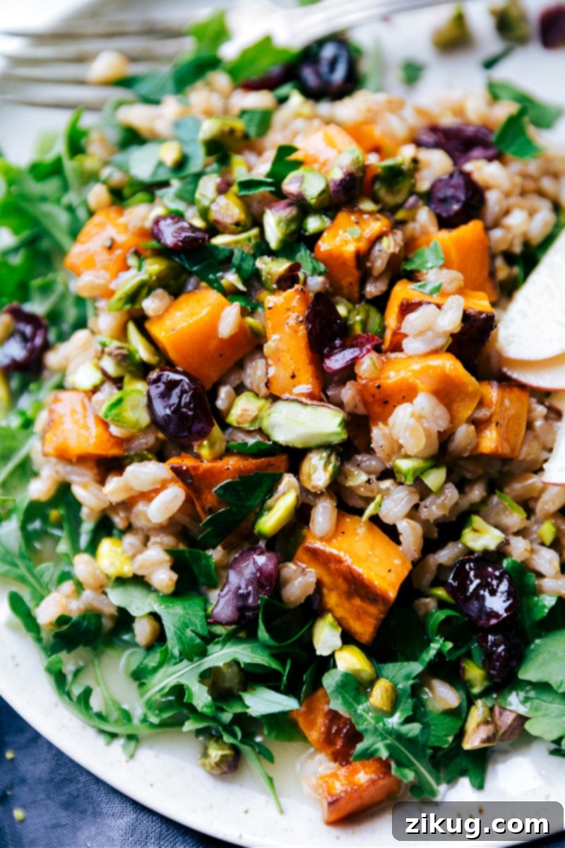 A close-up of the delicious and healthy Sweet Potato Farro Salad, ready to be enjoyed. Close-up view of the Sweet Potato-Farro Salad, highlighting the texture of the farro, the tenderness of the sweet potatoes, the vibrant colors of cranberries and greens, and the glossy lemon dressing.