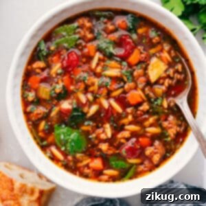Homestyle Italian Sausage Orzo Delight 2 A delicious bowl of Italian Sausage Orzo Soup ready to be enjoyed.
