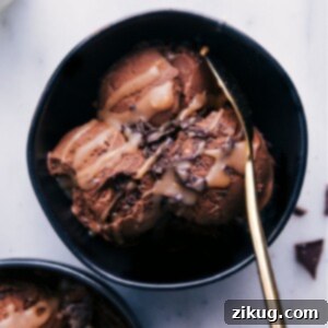 Guilt-Free Frozen Delights 3 A scoop of healthy chocolate ice cream.