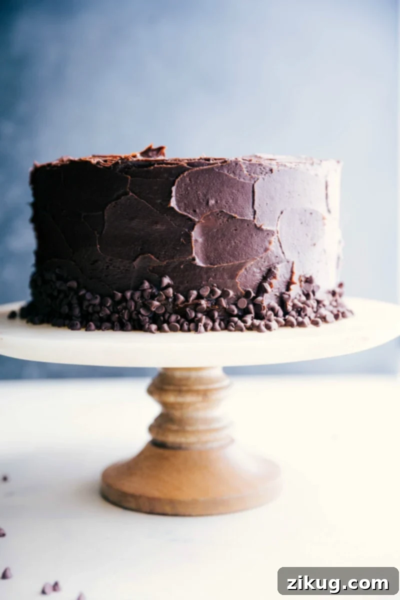 Decadent Banana Chocolate Chip Cake with Creamy Chocolate Frosting A beautifully presented double-layer Banana Chocolate Chip Cake on a cake stand, ready to be served, showcasing its rich chocolate frosting and moist texture.
