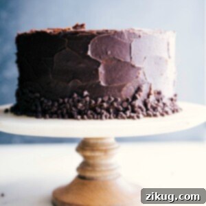 Decadent Banana Chocolate Chip Cake 3 A finished and gorgeous banana chocolate chip cake on a cake stand, adorned with chocolate frosting.