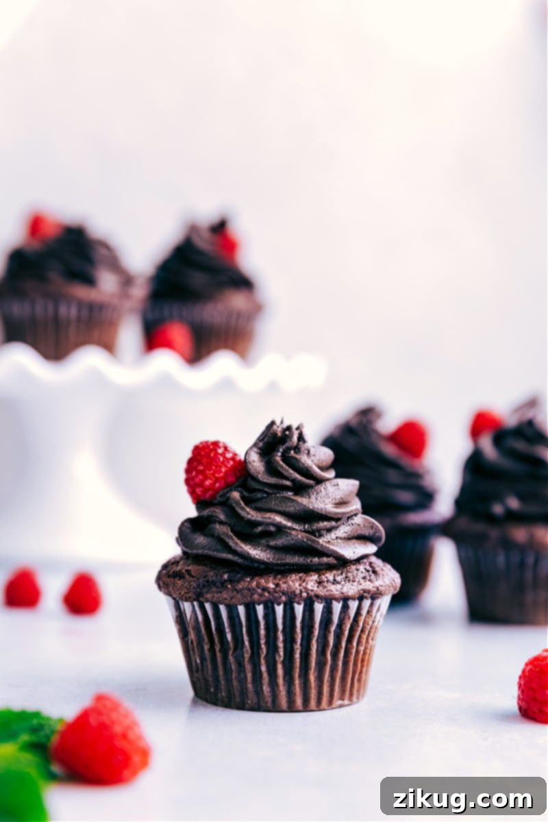 Gourmet Cake Mix Cupcakes With Chocolate Buttercream Frosting Decadent cake mix cupcakes topped with rich chocolate buttercream frosting and a dusting of cocoa powder.