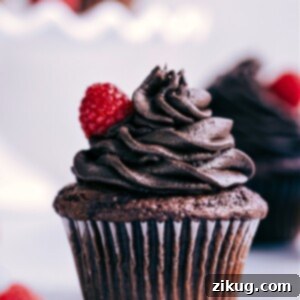 Delicious chocolate cake mix cupcakes frosted with rich chocolate buttercream.