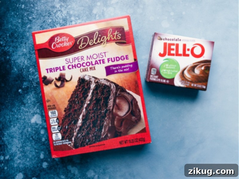 Essential Ingredients for Elevated Cake Mix Cupcakes A box of chocolate cake mix and a package of instant chocolate pudding mix, key ingredients for enhanced cupcakes.