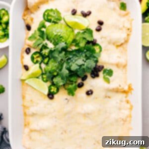 A beautifully plated White Chicken Enchilada with creamy sauce, fresh cilantro, and a hint of lime.