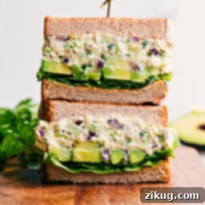 Creamy Avocado & Succulent Chicken Sandwich 3 Close-up of a Chicken Avocado Sandwich showing the creamy filling and fresh ingredients.