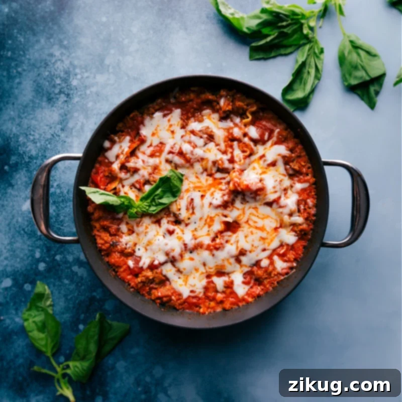 Our favorite Skillet Lasagna has it all -- tender sheets of pasta, a savory meat sauce, and a creamy cheese filling. Prepare and cook the lasagna right in one skillet on the stovetop -- no oven required! Recipe via ChelseasMessyApron #dinner #quick #easy #onepot #familyfriendly #best #cheesy #skillet #lasagna Overhead image of a beautifully cooked Skillet Lasagna, portioned and ready to be enjoyed, garnished with fresh herbs.