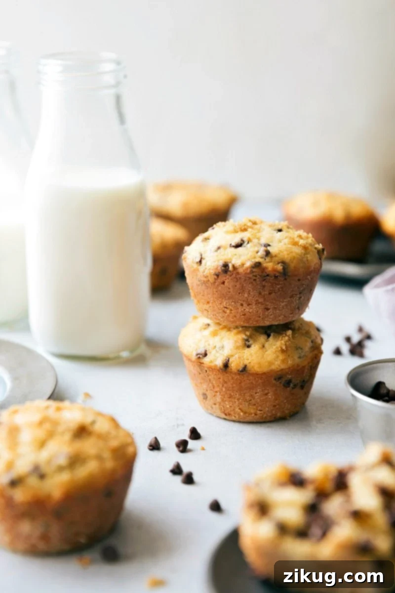 Indulge in these tender Healthy Chocolate Chip Muffins, made with wholesome ingredients without sacrificing an ounce of flavor or texture. They're incredibly moist, wonderfully soft, and packed with miniature chocolate chips in every bite! A perfect healthy treat via ChelseasMessyApron. Healthy Chocolate Chip Muffins stacked on top of each other, showcasing their moist texture and rich chocolate chips.