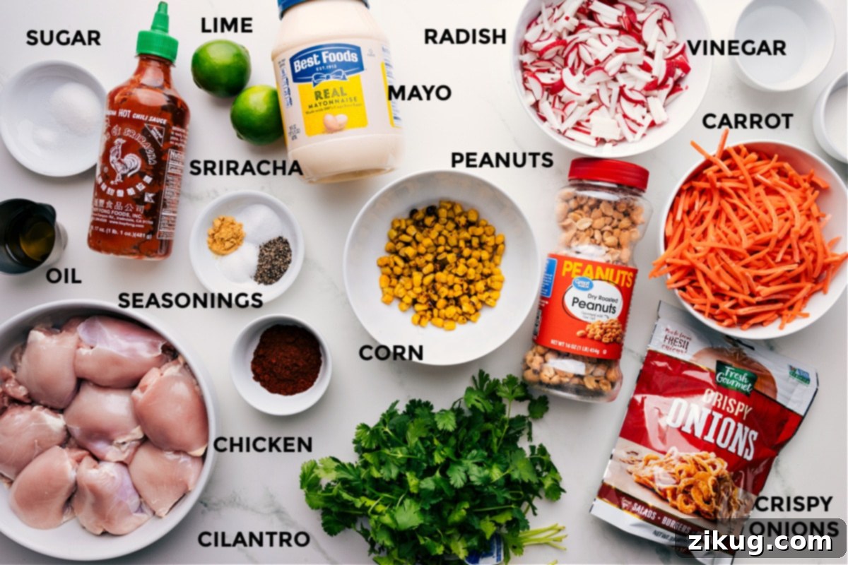 Key Ingredients For Asian Chicken Bowls All the fresh ingredients meticulously prepped and laid out for making Asian Chicken Bowls, including sugar, Sriracha, limes, mayonnaise, radishes, vinegar, carrots, peanuts, corn, various seasonings, oil, raw chicken, fresh cilantro, and crispy fried onions.