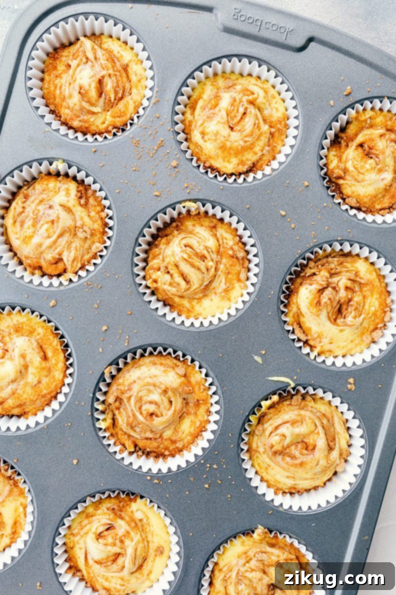 Cinnamon Roll Cupcakes: Preparing for a Delicious Bake View of a pan of cupcakes with cinnamon sugar swirl, ready to go in the oven