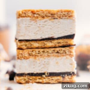 A perfectly sliced Frozen Protein S'more bar, showcasing the distinct layers of graham cracker, rich chocolate, and creamy vanilla protein filling, ready for a delicious bite.