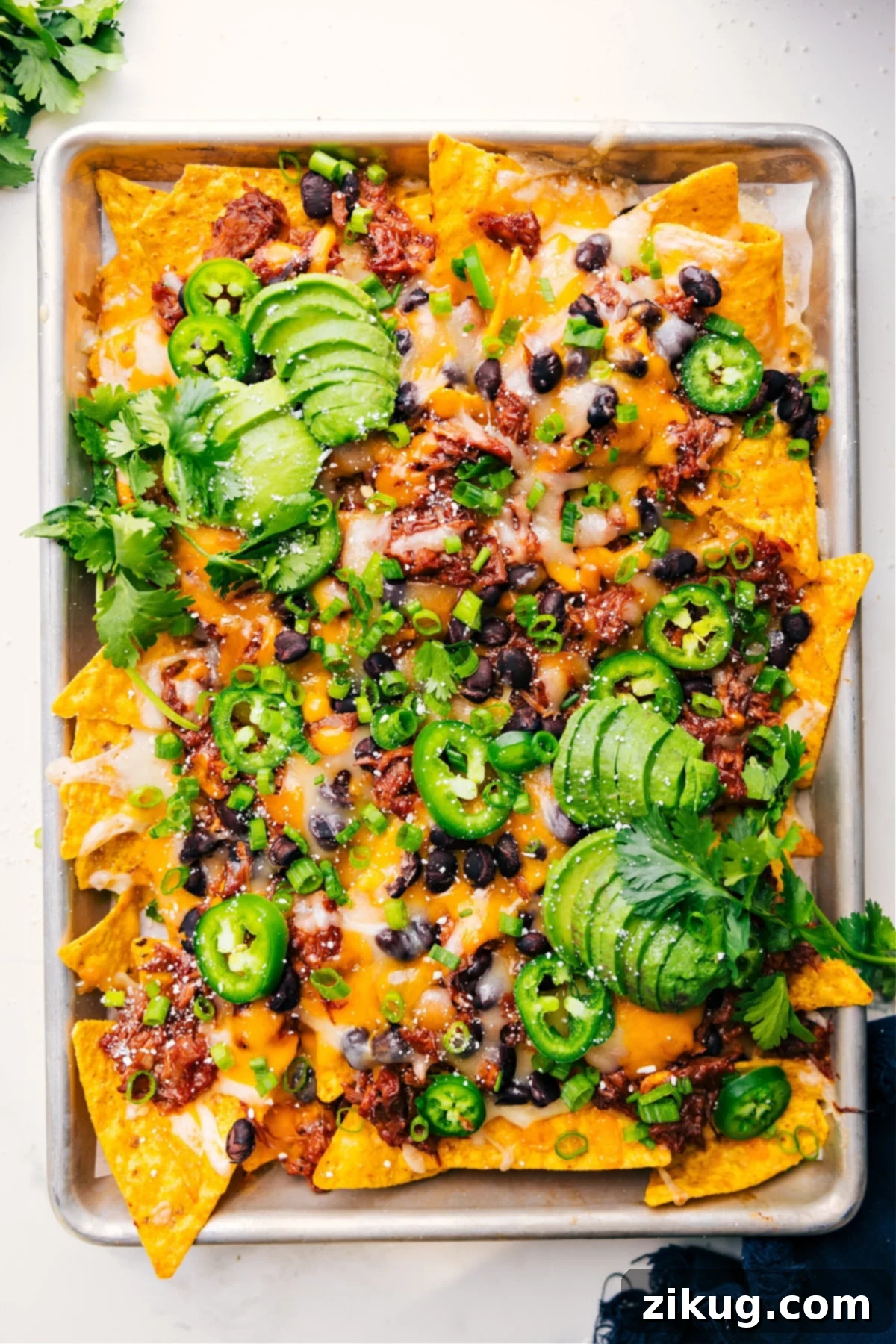 Pulled Pork Nachos Fresh Out Of Oven Freshly baked pulled pork nachos on a tray, hot and ready to eat, garnished with cilantro and jalapeños.