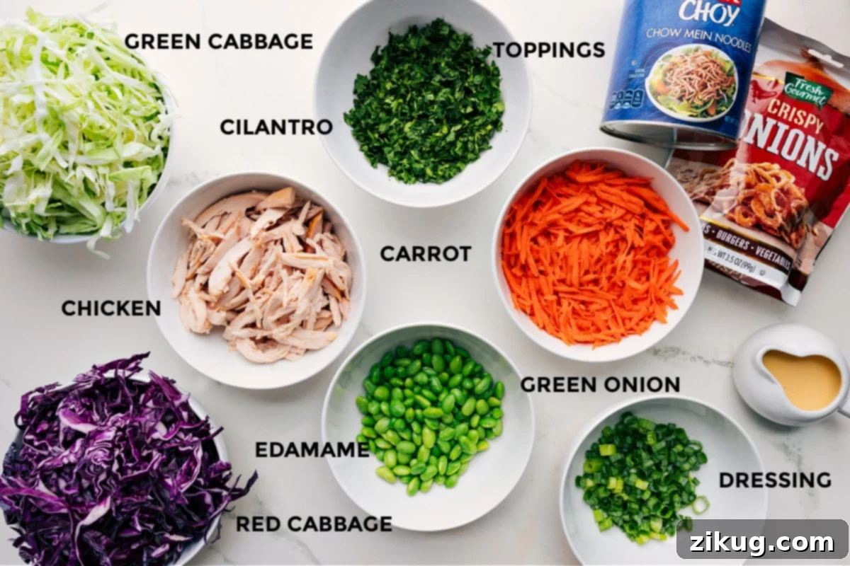 Ingredients In Asian Slaw Recipe All the vibrant ingredients for the Asian Slaw recipe, neatly prepped in separate bowls: shredded green and red cabbage, matchstick carrots, fresh cilantro, sliced green onions, cooked edamame, and optional cooked chicken. Dressing ingredients are also visible.