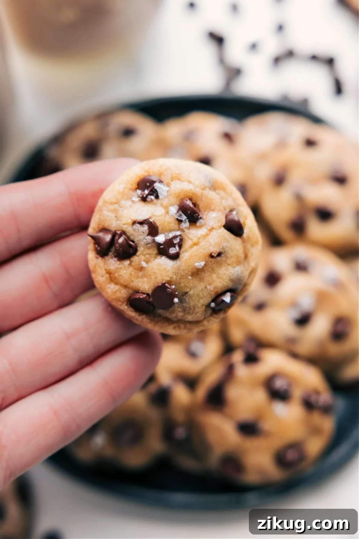 Fun, Delicious, And Tiny Chocolate Chip Cookies A hand holding several small, perfectly baked tiny chocolate chip cookies, showcasing their miniature size and delicious texture.