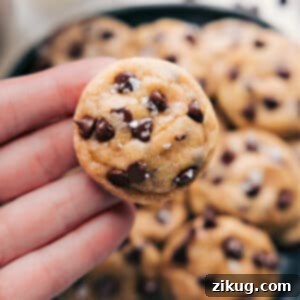 A close-up of several freshly baked tiny chocolate chip cookies on a cooling rack, showcasing their golden-brown edges and soft, chocolatey centers.