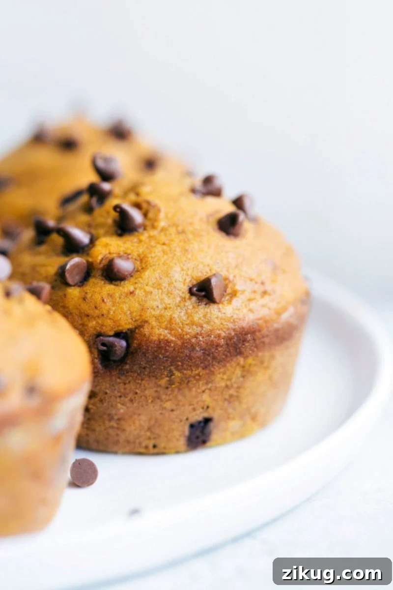 Bakery-style Pumpkin Chocolate Chip Muffins, perfect for fall
