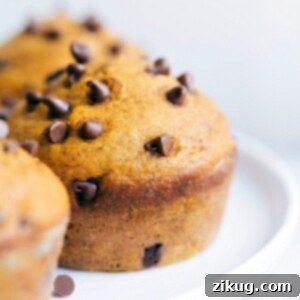 Delicious Pumpkin Chocolate Chip Muffins