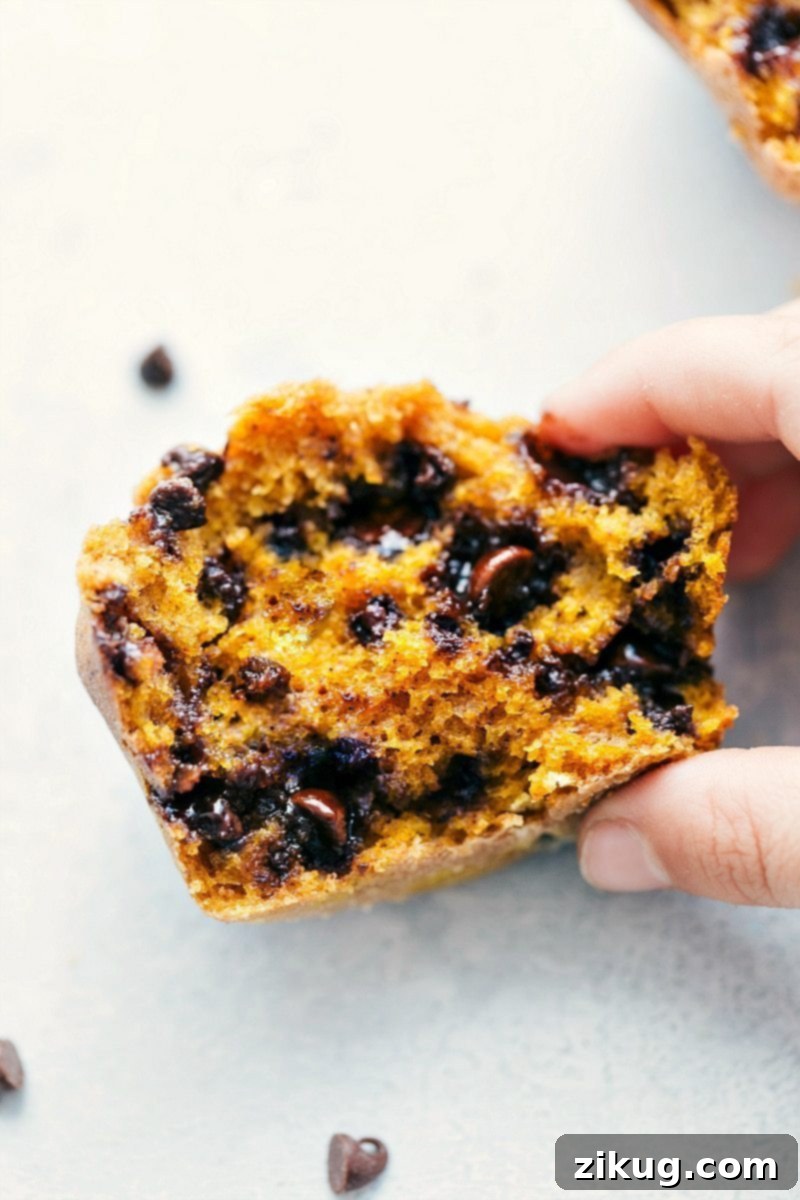 Freshly baked Pumpkin-Chocolate Chip Muffins on a cooling rack